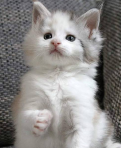 2014-07-10 14.26.54.png