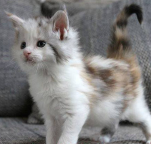 2014-07-10 19.38.27.png