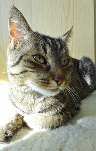 DSC09472 (405x640).jpg