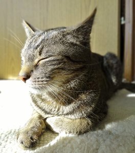 DSC09474 (563x640).jpg