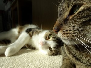 DSC09483 (640x480).jpg