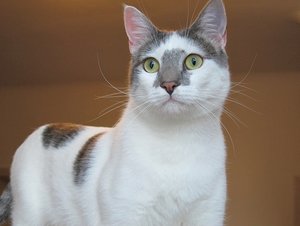 IMG_1832 - Kopie.JPG