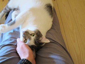 IMG_1380 - Kopie.JPG