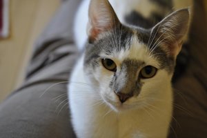 Kopie von _DSC0372.JPG