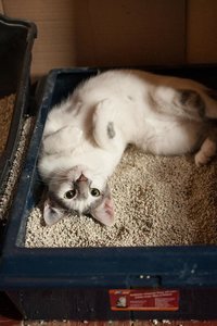 Kopie von _DSC0287.JPG