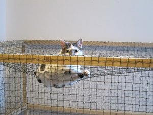 IMG_1824 - Kopie.JPG