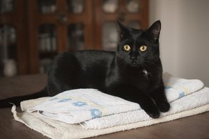 _DSC0017-2 - Kopie.JPG