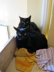 IMG_1391 - Kopie.JPG