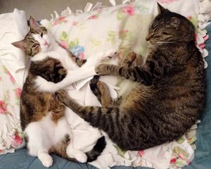 DSC09417 (640x512).jpg