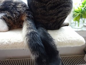 DSC09445 (640x480).jpg