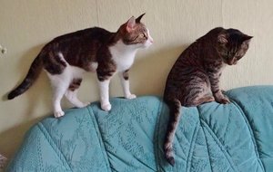 DSC09422 (640x405).jpg