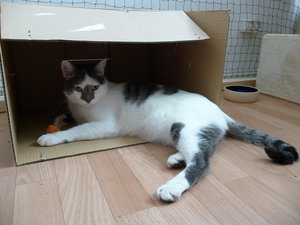 P1060187 - Kopie.JPG