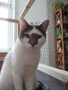 P1060180 - Kopie.JPG