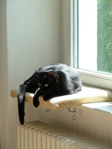 P1060161 - Kopie.JPG