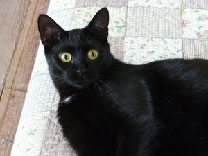 P1060166 - Kopie.JPG