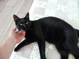 P1060167 - Kopie.JPG