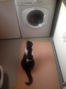 2014-07-09 07.25.44.jpg