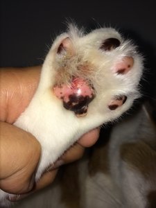 ImageUploadedByTapatalk1405943146.919965.jpg ImageUploadedByTapatalk1405943146.919965.jpg