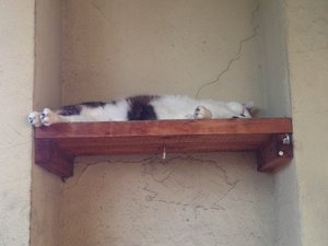 2014-07-19 18.28.12.jpg