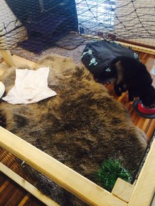 ImageUploadedByTapatalk1406010589.861581.jpg ImageUploadedByTapatalk1406010589.861581.jpg