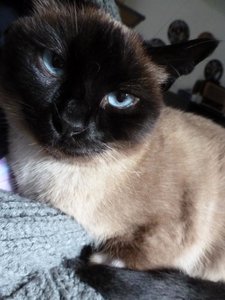 P1090465 - Kopie.JPG