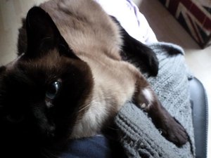 P1090469 - Kopie.JPG