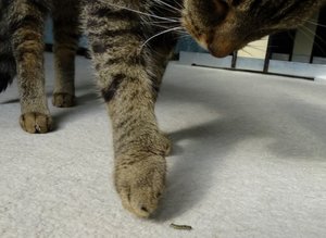 DSC00266 (640x467).jpg