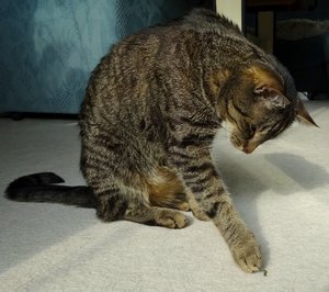 DSC00269 (640x566).jpg