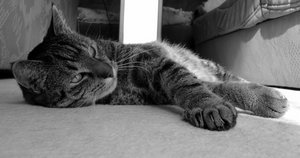 DSC00283 (640x335).jpg