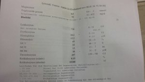 uploadfromtaptalk1406662079829.jpg uploadfromtaptalk1406662079829.jpg