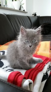 2014-07-09 11.22.53.jpg