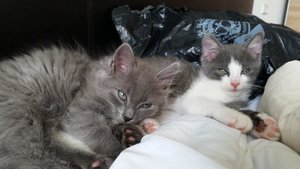 2014-07-16 11.44.42.jpg