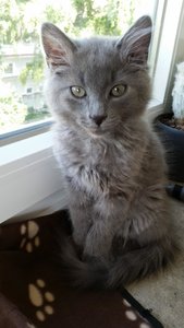 2014-07-31 11.05.52.jpg