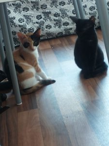 2014-08-02 19.38.29.jpg