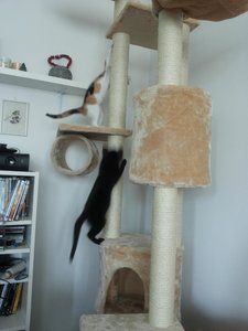 2014-08-04 11.30.12.jpg