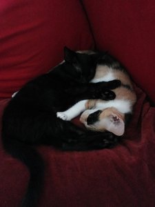 2014-08-04 17.20.27.jpg