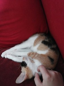 2014-08-04 17.07.00.jpg