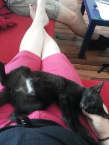 2014-08-05 15.42.43.jpg