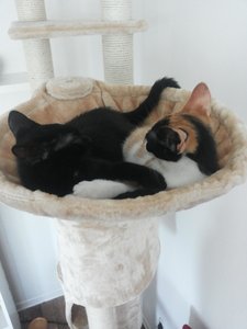 2014-08-05 18.57.49.jpg