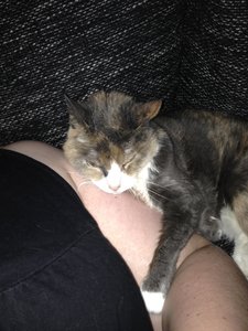 2014-07-27 23.35.13.jpg