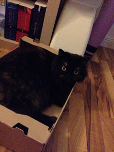 2014-08-01 22.10.20.jpg