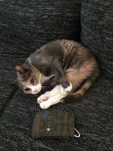 2014-07-25 18.21.01.jpg