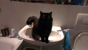 2014-02-10 15.46.15.jpg