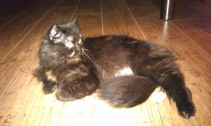 2012-05-16 20.55.56.jpg