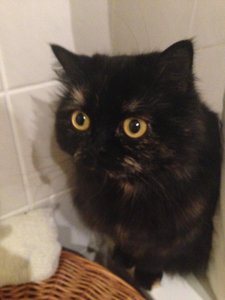 2014-01-30 06.39.36.jpg