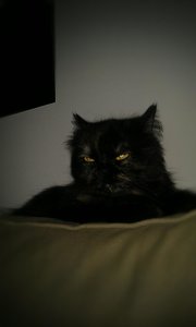 2012-05-27 21.26.43.jpg