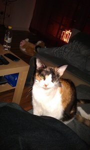 2012-03-15 20.48.49.jpg