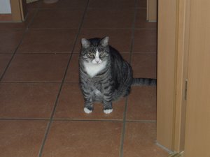 2009-01-31 00.12.00.jpg