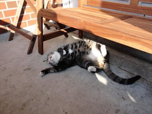 2011-09-17 03.16.24.jpg