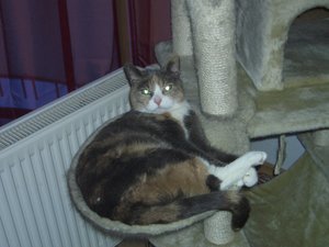 2009-01-31 00.08.37.jpg